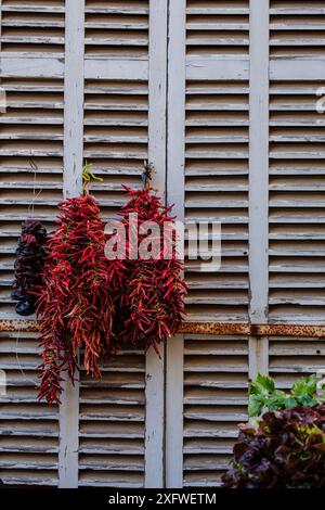 Typische Sirereta-Paprika, Wochenmarkt, Sineu, Mallorca, Balearen, Spanien. Stockfoto