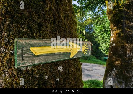 Wegweiser Jakobsweg, Santiago's Road, Burguete, Navarra, Spanien. Stockfoto