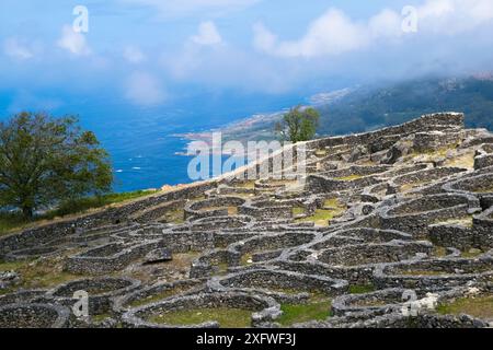 Ruinen des alten keltischen Dorfes in Santa Tecla. La Guardia - Spanien Stockfoto