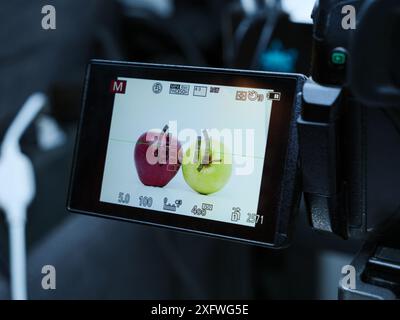 Eine professionelle Kamera im Studio zeigt einen roten und gelben Apfel auf dem Bildschirm an. Die Kamera nimmt im manuellen Modus auf, und das Fokusraster ist sichtbar. Stockfoto