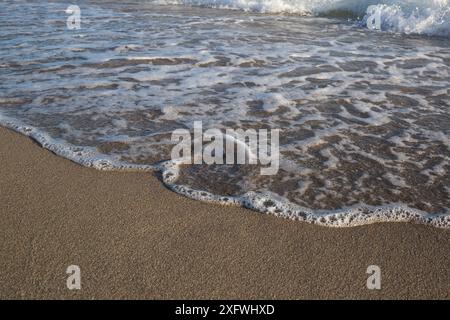 Sanfte Wellen, die an einem Sandstrand auftauchen, schaffen eine ruhige und friedliche Küstenszene Stockfoto