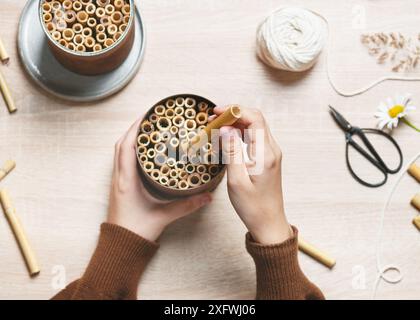 Schritt 5: Füllen Sie die Dose weiter mit Bambus, bis sie voll ist und die Stäbchen fest eingepackt sind. Erstellen Sie ein DIY-Bug-Hotel für den Garten. Stockfoto