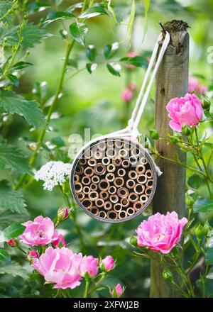 Handgemachte Insektenhotels aus upcycled rostigen Lebensmitteldosen hängen im Hüttengarten um rosa Blumen herum. Erstellen Sie ein DIY-Bug-Hotel für den Garten. Stockfoto