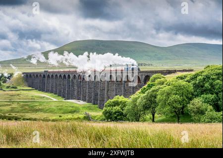 Das Bild zeigt den BR, LNER A4 Pacific Class, 4-6-2, 60007, Sir Nigel Gresley Dampfzug, der das Ribblehead-Viadukt in den Yorkshire Dales überquert Stockfoto