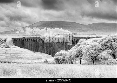 Das Bild zeigt den BR, LNER A4 Pacific Class, 4-6-2, 60007, Sir Nigel Gresley Dampfzug, der das Ribblehead-Viadukt in den Yorkshire Dales überquert Stockfoto