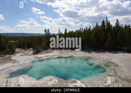 Emerald Spring, Norris Geysir Basin Stockfoto