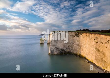 Die Pinnacles aus Ballard Down, Swanage, Isle of Purbeck, Dorset, England, UK. Dezember 2014. Stockfoto