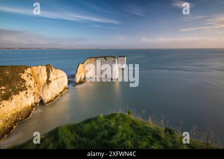 Old Harry Rocks aus Ballard Down, Swanage, Isle of Purbeck, Dorset, England, UK. Dezember 2014. Stockfoto