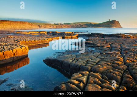 Felsformationen in der Kimmeridge Bay, Clavell Tower im Hintergrund, Isle of Purbeck, Jurassic Coast, Dorset, England, UK. Dezember 2010. Stockfoto