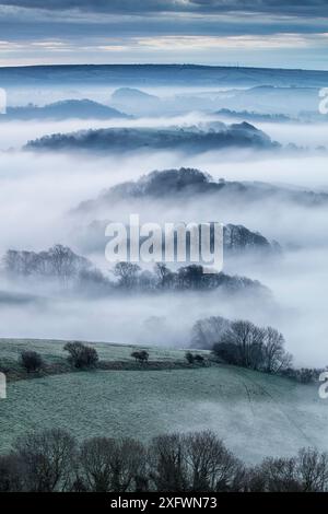 Blick von Colmer's Hill über die Landschaft mit niedrig liegendem Nebel, Bridport, Dorset, England, Großbritannien. April 2016. Stockfoto