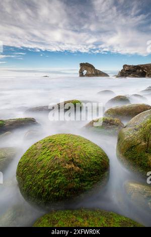 Meeresalgen bedeckte Felsen mit Gaada Stack im Hintergrund, Foula, Shetland, Schottland, Großbritannien. August 2016. Stockfoto