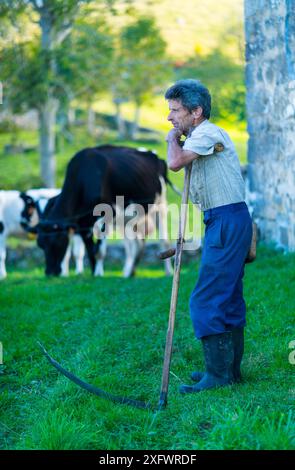 Ein Mann, der sich auf die Sense lehnt, das Miera-Tal, das Valles Pasiegos, Kantabrien, Spanien. Oktober 2017. Stockfoto