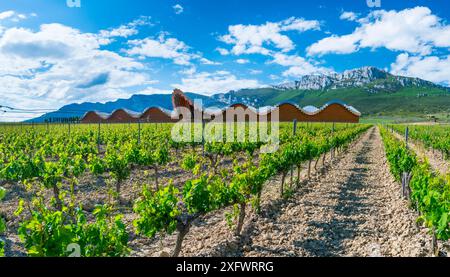 Weinberg mit Gebäude von Santiago Calatrava und Sierra de Cantabria im Hintergrund. Laguardia, Alava, Baskenland, Spanien. Mai 2017. Stockfoto