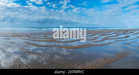 Strand von Berria und das Kantabrische Meer, Marismas de Santona, Santona, Victoria und Joyel Marshes Naturpark, Kantabrien, Spanien. Juni 2017. Stockfoto