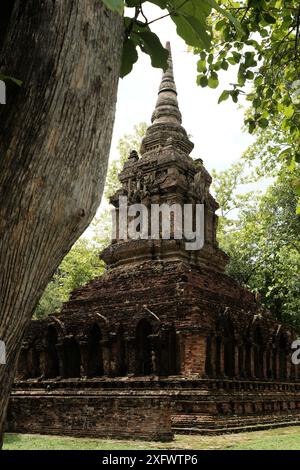 Wat Pa Sak ist ein buddhistischer Tempel in thailand, Chiang Rai, Thailand Stockfoto