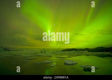 Nordlichter im Winter, Island, Oktober 2013. Stockfoto