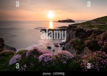 Blick auf die Insel Godrevy / Leuchtturm mit blühender Sea Sparte (Armeria maritima) im Vordergrund, in der Nähe von Hayle, Cornwall, Großbritannien. Mai. Stockfoto