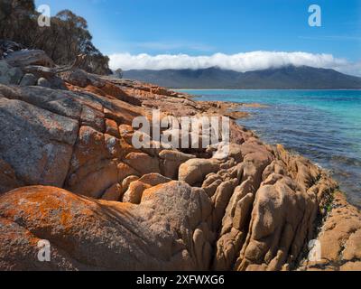 Malerische Klippen im Maria Island National Park, Ostküste Tasmaniens, Australien. Januar 2018. Die Eisenoxide im Gestein wurden durch Grundwasser zurückgelassen, das durch die Klippen sickerte. Dadurch entstand die rote Färbung auf dem Felsen. Stockfoto