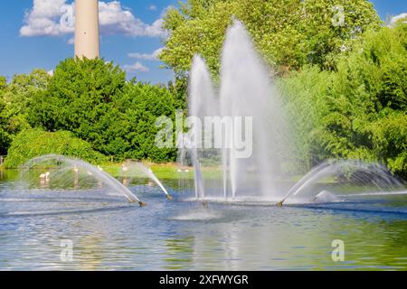 Ein Brunnen mit Wasser, das in einem Park rausschießt. Das Wasser sprüht aus dem Brunnen in verschiedene Richtungen Stockfoto