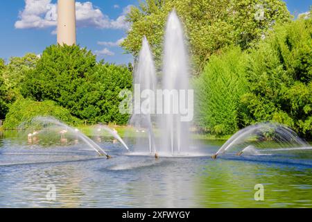 Ein Brunnen mit Wasser, das in einem Park rausschießt. Das Wasser sprüht aus dem Brunnen in verschiedene Richtungen Stockfoto