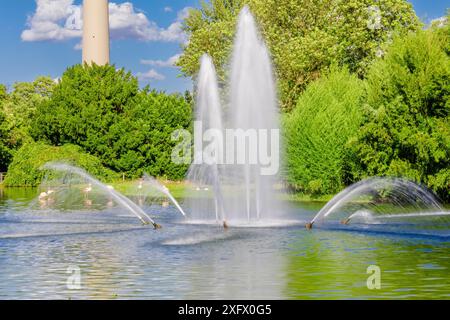 Ein Brunnen mit Wasser, das in einem Park rausschießt. Das Wasser sprüht aus dem Brunnen in verschiedene Richtungen Stockfoto