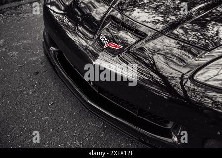 Vorderansicht der roten Chevrolet Corvette in einem Wald. Nahaufnahme der Motorhaube des vorderen Stoßfängers und der Scheinwerfer eines amerikanischen Sportwagens. Stockfoto