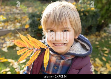 Helles, saisonales Herbstgefühl der Freude. Glückliche Kindheit. Porträt eines hübschen Jungen, der ein großes gelbes Herbstblatt im Mund hält. Hallo, Herbst Stockfoto