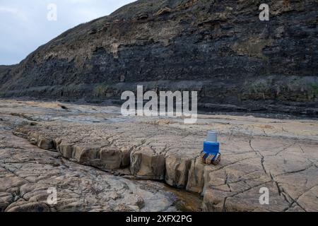 Ein PDC-Ölfeldbohrer (polykristalliner Diamant Compact) auf einer der Kimmeridge-Vorsprünge. Kimmeridge Bay, Dorset, Großbritannien, März. Die Felsvorsprünge sind aus hartem Juraalter, karbonatreiche Horizonte von Limetone und Dolomit, die widerstandsfähiger gegen Erosion sind als der darüber liegende Schlammstein und Schiefer. Die dunklen Schiefer sind Kimmeridge-Ton, ein Kohlenwasserstoff-Quellgestein für viele Ölfelder in Europa. Stockfoto