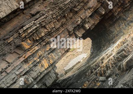 Ein Augenloch erodierte in eintauchende Sandsteine und Schiefer aus der Karbonzeit. Hartland Quay, Devon, Großbritannien, Mai Stockfoto