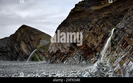 Kleine Wasserfälle am Sandy Mouth Beach, in der Nähe von Bude, Cornwall, Großbritannien, März. Die Felsen tauchen steil in die Karbonzeit, Sandstein und Schiefer (Culm Measures). Stockfoto