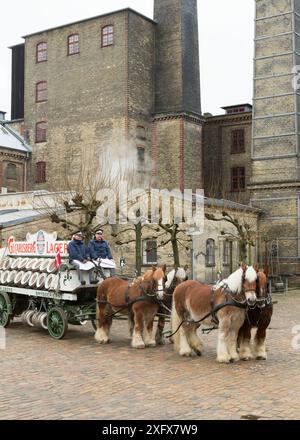 Vier seltene Jütlandpferde ziehen eine Carlsberg-Dray vor der historischen Carlsberg-Brauerei in Kopenhagen, Dänemark, Juni 2016. Stockfoto