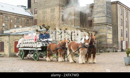 Vier seltene Jütlandpferde ziehen eine Carlsberg-Dray vor der historischen Carlsberg-Brauerei in Kopenhagen, Dänemark, Juni 2016. Stockfoto