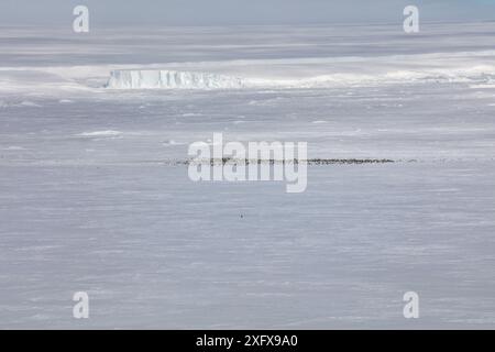 Aus der Vogelperspektive auf die Kolonie des Kaiserpinguins (Aptenodytes forsteri) in der Ferne, Gould Bay, Weddell Sea, Antarktis Stockfoto