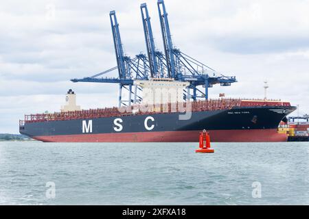 Leeres Containerschiff der MSC New York, das bei Felixstowe angedockt ist, dockt in Suffolk England an Stockfoto