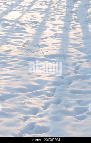 Hell erleuchtete Schneeoberfläche mit Fußabdrücken. Schneeoberfläche mit Schatten und Spuren bei sonnigem Wetter. Stockfoto