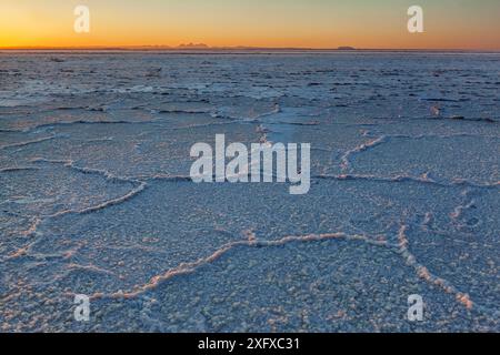 Saltpan, Lagune San Ignacio, Biosphärenreservat El Vizcaino, Baja California, Mexiko, Februar Stockfoto