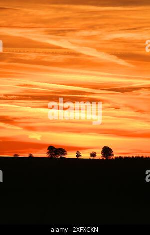 Sonnenuntergang über den Feldern, Blackdown Hills, Somerset, England, Großbritannien. Oktober. Stockfoto
