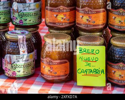 heidekraut-Honig-Kantabra, Cabezón de la Sal, Region Saja-Nansa, Kantabrien, Spanien Stockfoto