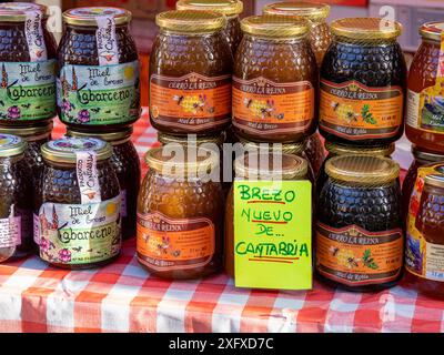 heidekraut-Honig-Kantabra, Cabezón de la Sal, Region Saja-Nansa, Kantabrien, Spanien Stockfoto