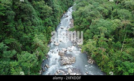 Der Fluss fließt durch den Regenwald in Mittelhöhe. Manu Biosphärenreservat, Amazonien, Peru. November 2017. Stockfoto