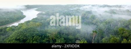 Luftaufnahme des Tiefland-Amazonas-Regenwaldes im Morgennebel. Manu Biosphärenreservat, Amazonien, Peru. November 2017. Stockfoto