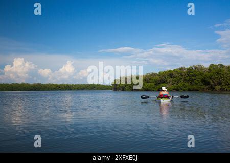 Kajakfahrer in der Bucht, die vom Wald der roten Mangroven (Rhizophora Mangle) gesäumt ist. Tampa Bay, Pinellas County, Florida, USA. Juli 2018. Stockfoto