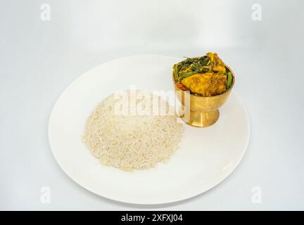 Gesundes und hausgemachtes Huhn und Reis für Fitness Gewichtsverlust Nepali Masu Bhaat Huhn Masala Curry Stockfoto