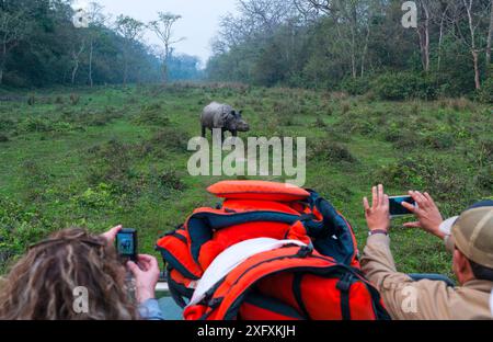 Touristen auf Safari machen Fotos von Einhörnern asiatischen Nashörnern (Rhinoceros unicornis), Chitwan National Park, Nepal, Februar 2018. Stockfoto