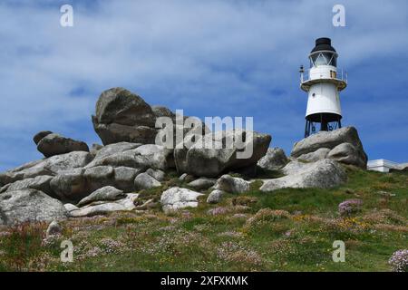 Die Penninis führen an einem hellen Tag im Juni zwischen Wind, Regen und Meer erodierten Granitfelsen und Sommerblumen zum Leuchtturm. Erbaut vom Trinity House in 1 Stockfoto