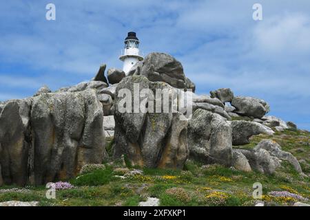 Die Penninis führen an einem hellen Tag im Juni zwischen Wind, Regen und Meer erodierten Granitfelsen und Sommerblumen zum Leuchtturm. Erbaut vom Trinity House in 1 Stockfoto