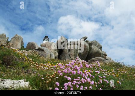 Das Licht des Leuchtturms der Penninis führt zwischen Wind, Regen und Meer erodierte Granitfelsen und Sommerblumen an einem hellen Tag im Juni. Erbaut von Trini Stockfoto