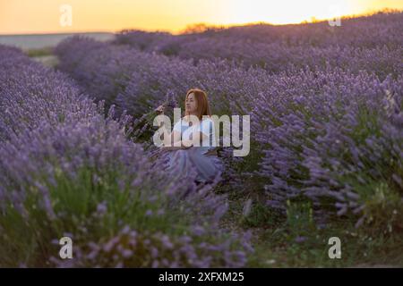 Eine Frau sitzt auf einem Feld mit Lavendelblumen Stockfoto
