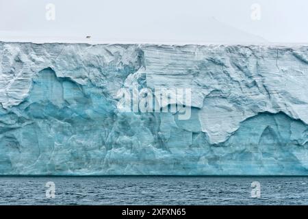 Eisbär (Ursus maritimus) auf dem Gletscher der Insel Champ, Franz-Josef-Land, russische Arktis. Ausgezeichnet in der Kategorie „Umwelt“ des Wettbewerbs „Wildlife Photographer of the Year Awards“ (WPOY) für Tiere. 2018. Stockfoto