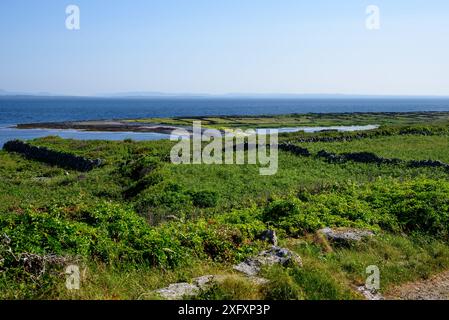 Wunderschöne Landschaft auf Inish More, Aran Island, Inishmore, Co, Galway, Irland Stockfoto